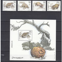 Фауна. Броненосцы. Сомали. 2003. 4 марки и 1 блок. Michel N (- е)