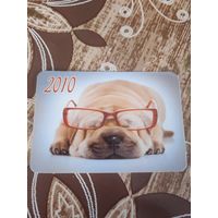Календарь,собака,2010