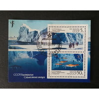 СССР 1990 г. Научное сотрудничество СССР и Австралии в Антарктиде. Фауна. События, полная серия, Блок #0169-Ф1P33