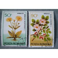 Румыния цветы 2шт