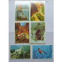 Календарики "Фауна" 1990г