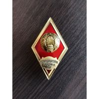 Академия МВД