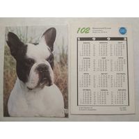 Карманный календарик. Собака.1993 год