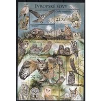 Чехия 2015. Фауна птицы совы