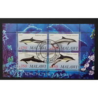 ЛИСТ ФАУНА животные  СТО