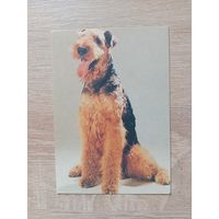 Календарик 1992-1993