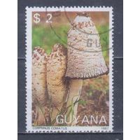 [1688] Гайана 1987. Грибы. Гашеная марка.