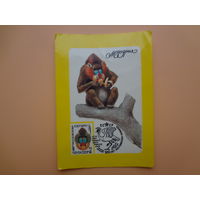 Календарик 1985 г.  ВОФ.  Мандрил.