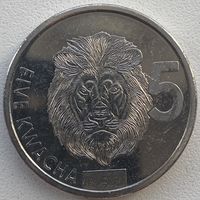 Замбия 5 квач 2024 г. Лев