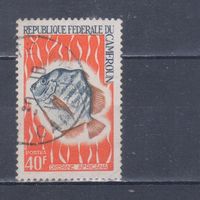 [6] Камерун 1968. Фауна.Рыба.40 ф. Гашеная марка.