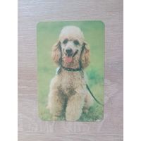 Календарик 1991