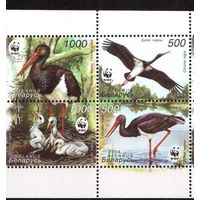 Беларусь-2005,(Мих.597-600) Фауна Птицы(WWF)