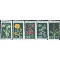 Пять марок Германии