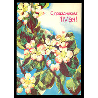С праздником 1 мая! Худ. М. Морозов. 1988