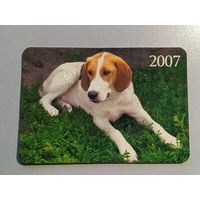 Карманный календарик. Собака. 2007 год