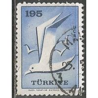 Турция. Авиа. Птицы. Чайка. 1959г. Mi#1666.