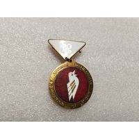 Музыкальная детская школа. Могилев тяжёлый