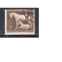 Германия-1944,(Мих.899) гаш. , Спорт, Лошади(одиночка)