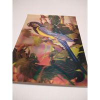 Открытка  1989г. Чистая. Стерео. Художник Л. Гурова.