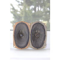 Динамики СССР 2ГД-40