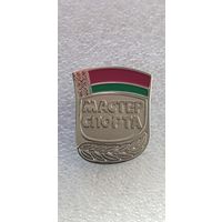 Мастер спорта Беларусь