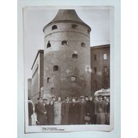 Фото в коллекцию