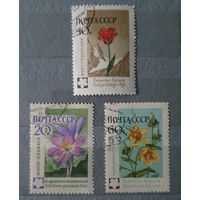 СССР цветы 3шт
