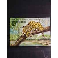 Никарагуа 1983 г. Дикая кошка.