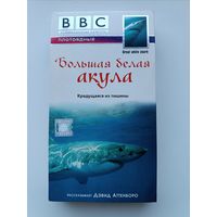 Кассета Большая белая акула