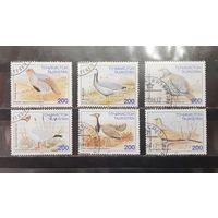 Таджикистан. 1995 год. Фауна. Птицы (1243)