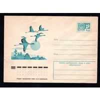 Художественный маркированный конверт СССР N 11005 (23.12.1975) Рисунок летящих журавлей
