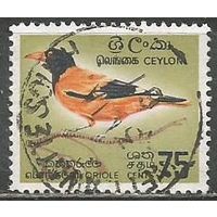 Цейлон. Черноголовая иволга. 1966г. Mi#343.