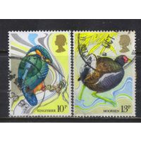 Великобритания 1980 EII Закон об охране диких птиц Зимородок Камышница #817,819