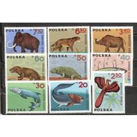 ФФ2 Польша 1966 Динозавры