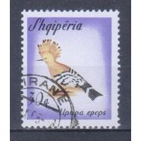 [125] Албания 1965. Фауна.Птицы.Удод. Гашеная марка.