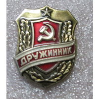 Дружинник.
