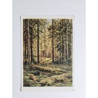 Шишкин 1963 репродукция Пейзаж