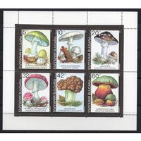 Болгария 1990. Грибы малый лист (3887)