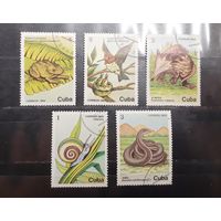 Куба. 1984 год. Фауна (575)