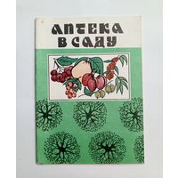 Аптека в саду. Выпуск 1. 1993 год.