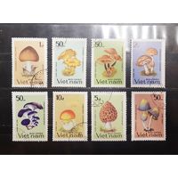 Вьетнам. Флора. Грибы (961)