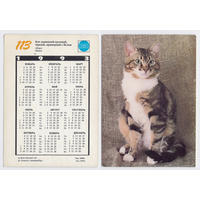 Календарь кот домашний N113 1993