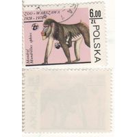 Польша 1978.11.10 (Mi)PL2590 марка из сер.Варшавский зоопарк - 6,00zl Мандрилл (Mandrillus sphinx) (г) (a1-10 ТОРГ/ВАША ЦЕНА