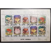 Корея. 1991 год. Флора. Грибы. Блок (сцепка 10 марок) (1023)