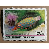 Марка Заир, фауна, рыба-арлекин, 1982г.