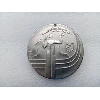 Медаль (тяжёлая)