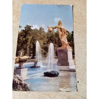 Петродворец. Большой каскад.Персей. 1969г.