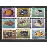 ФФ2 Польша 1967 Рыбы