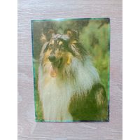 Календарик