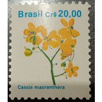 Бразилия. Флора. Цветы. Cassia Macranthera